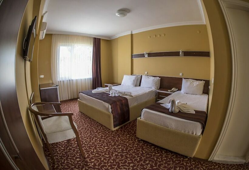 בית מלון כפרי Arteka