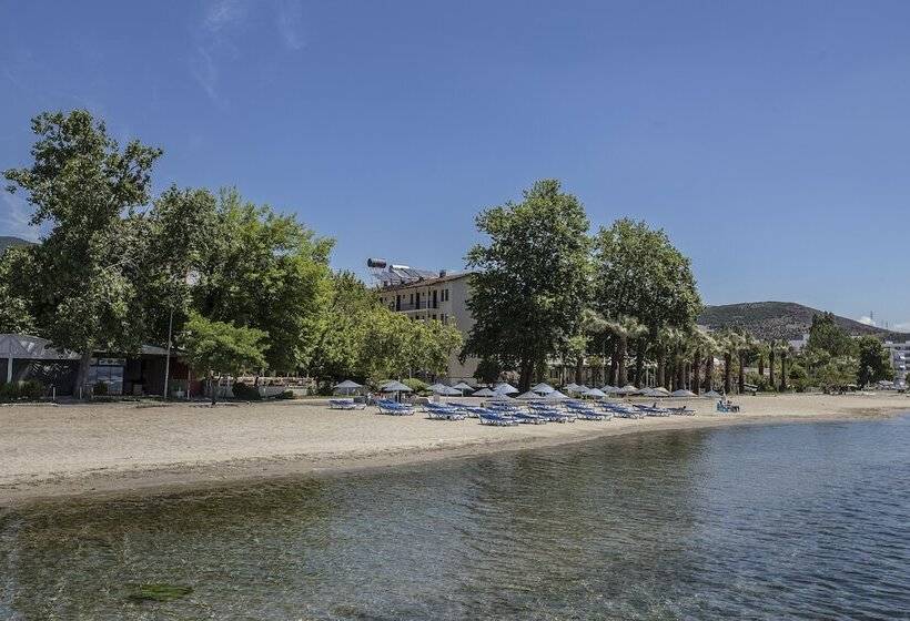 בית מלון כפרי Arteka