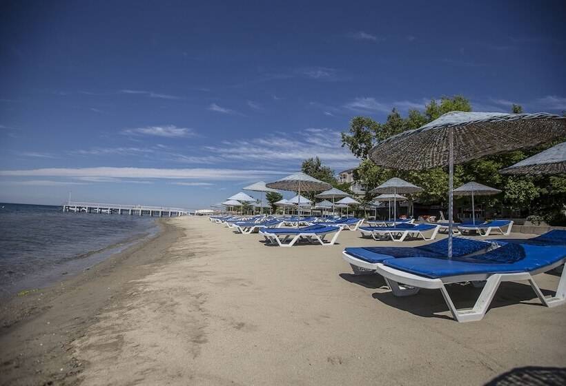 בית מלון כפרי Arteka