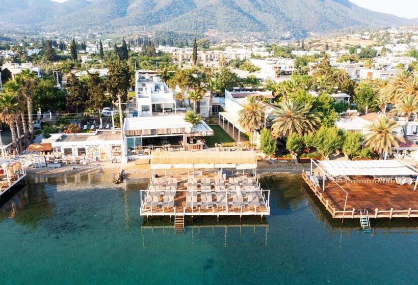 בית מלון כפרי Babana