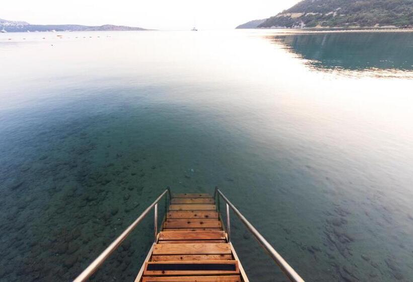 בית מלון כפרי Babana