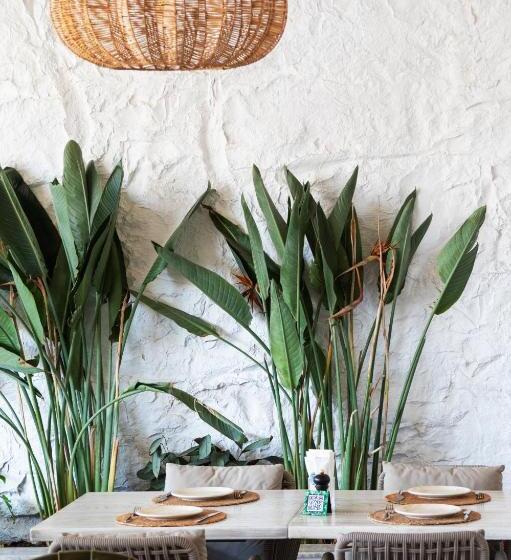 בית מלון כפרי Babana