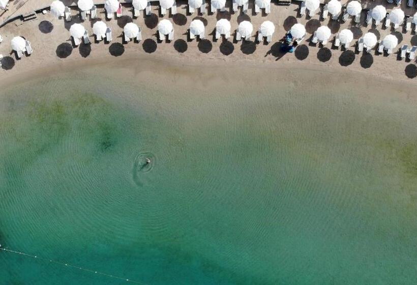 ホテル Meri All Inclusive