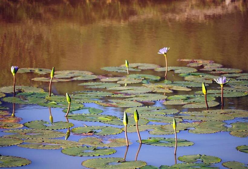 בית מלון כפרי Eight Bells Mountain Inn
