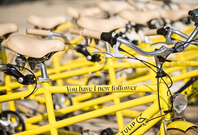 בית מלון כפרי Golden Tulip Aix En Provence