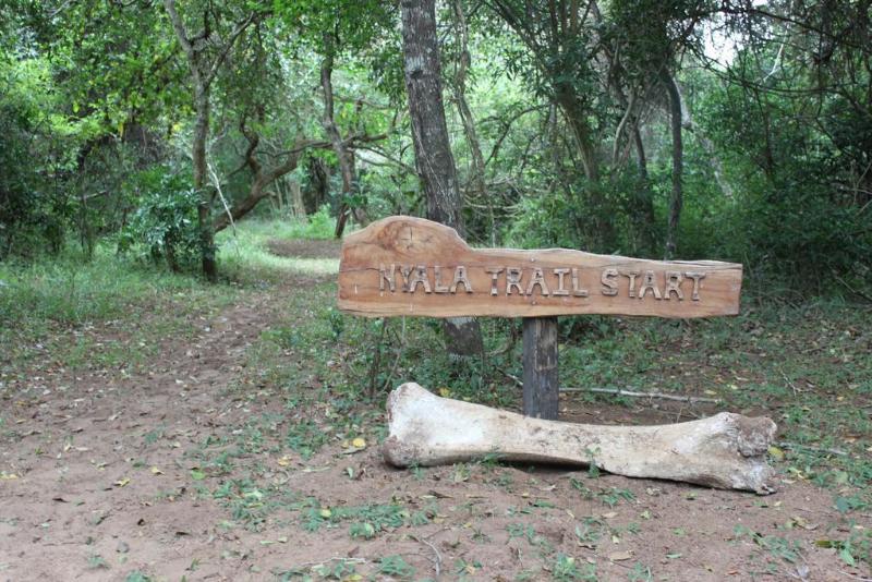 בית מלון כפרי Gooderson Bushlands Game Lodge