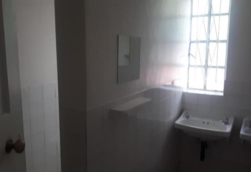 ホテル Gum Tree Lodge Backpackers