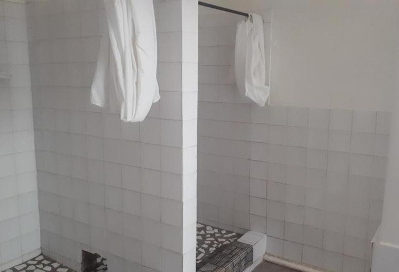 ホテル Gum Tree Lodge Backpackers