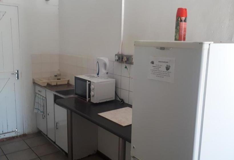 ホテル Gum Tree Lodge Backpackers