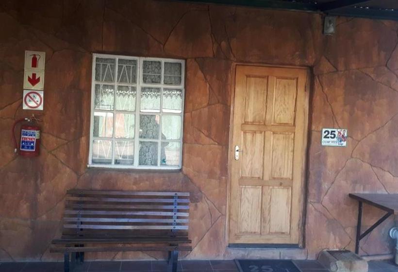 ホテル Gum Tree Lodge Backpackers