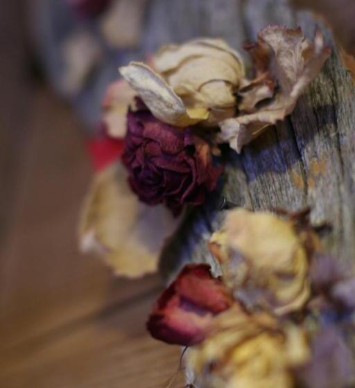 בית מלון כפרי Hetan Majatalo