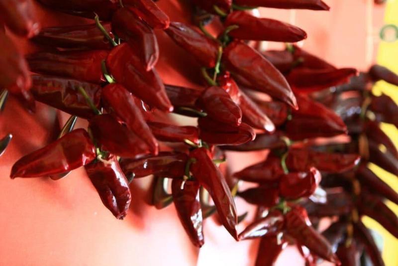 Отель Hôtel Les Genêts Bayonne