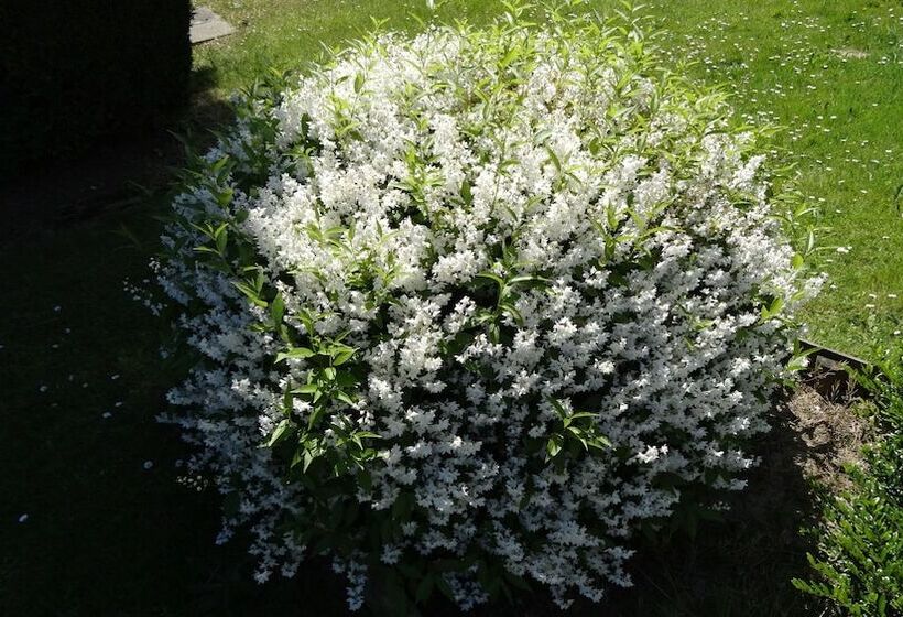 فندق Initial By Balladins Dieppe