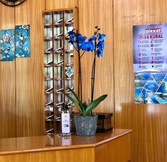 בית מלון כפרי Kekova