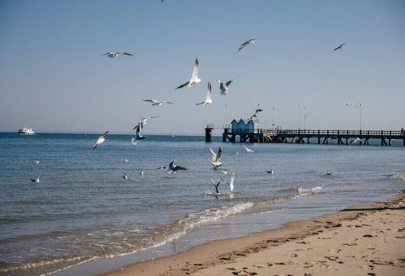 Hôtel Le B D Arcachon By Inwood Hotels