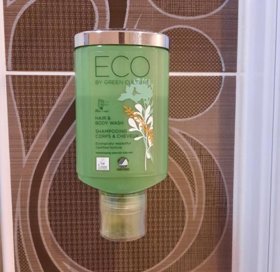 酒店 Logis Hôtel Restaurant Le Medicis