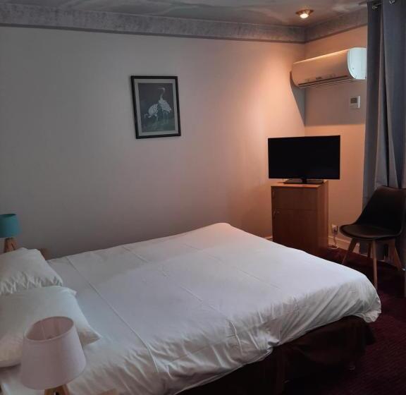 酒店 Logis Hôtel Restaurant Le Medicis