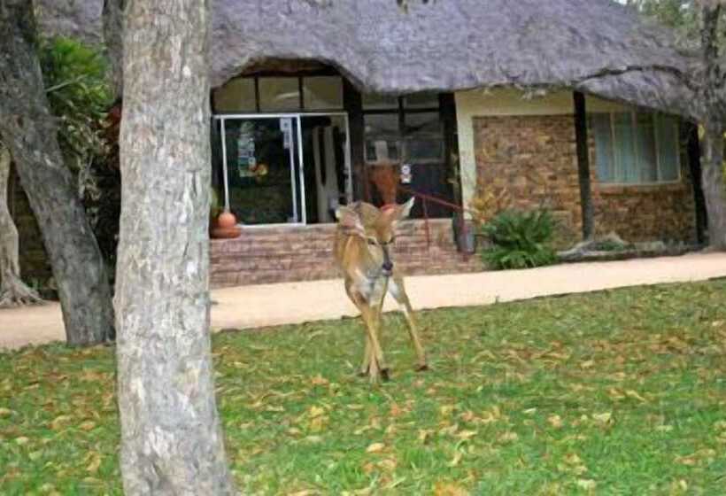 ホテル Matumi Game Lodge