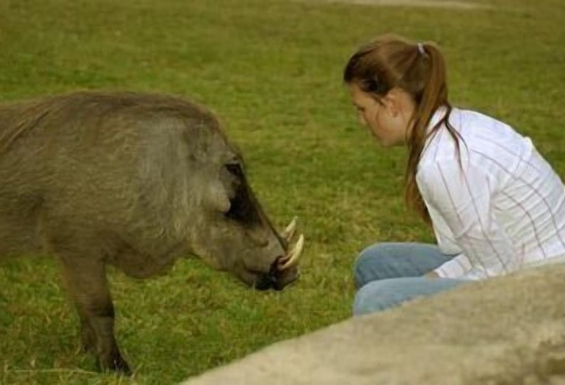 Отель Matumi Game Lodge