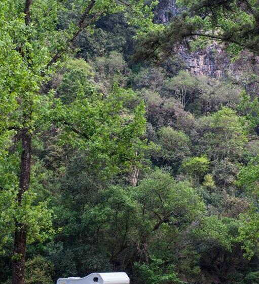 Merry Pebbles Resort