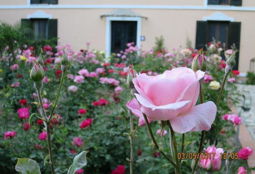 Мотель Kalehan