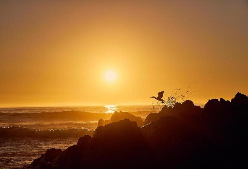 אתר נופש First Group Riviera Suites