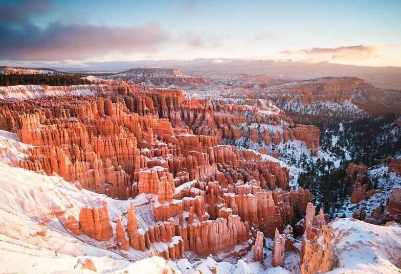 모텔 The Golden Spur