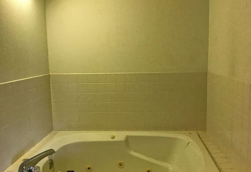 ホテル Americas Best Value Inn Champaign