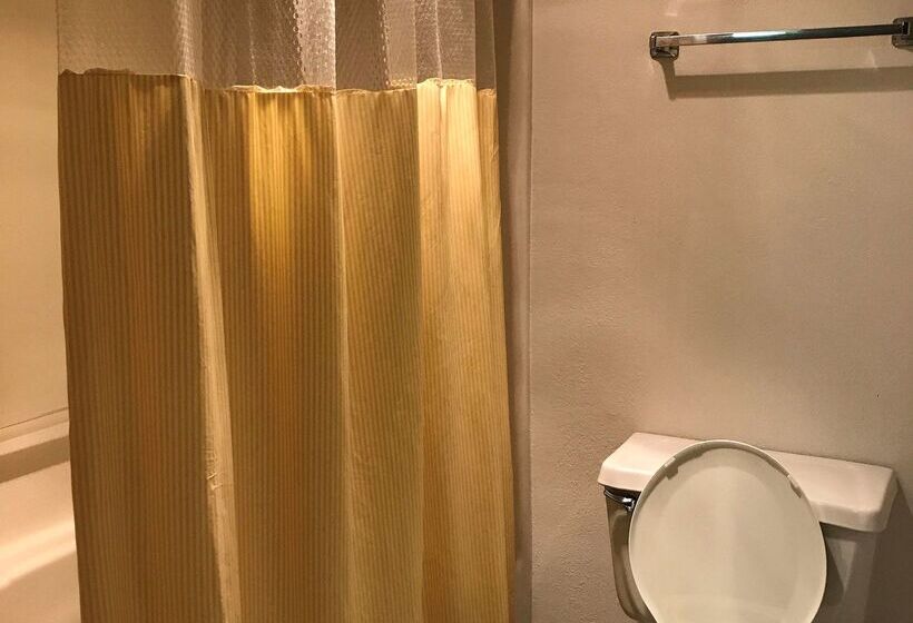 ホテル Americas Best Value Inn Champaign