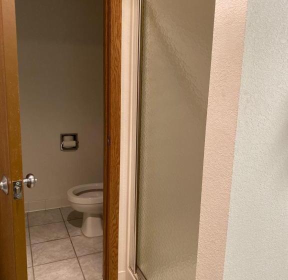 ホテル Americas Best Value Inn Champaign