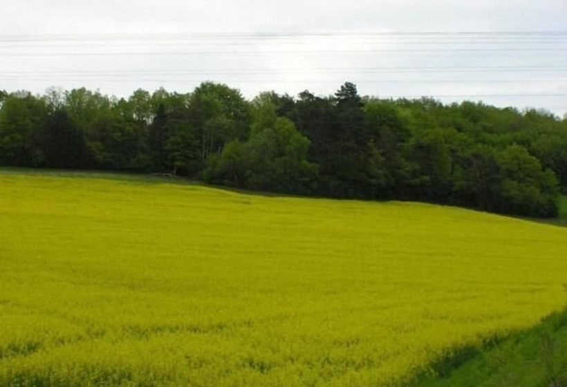 호텔 Auberge De Bourgogne
