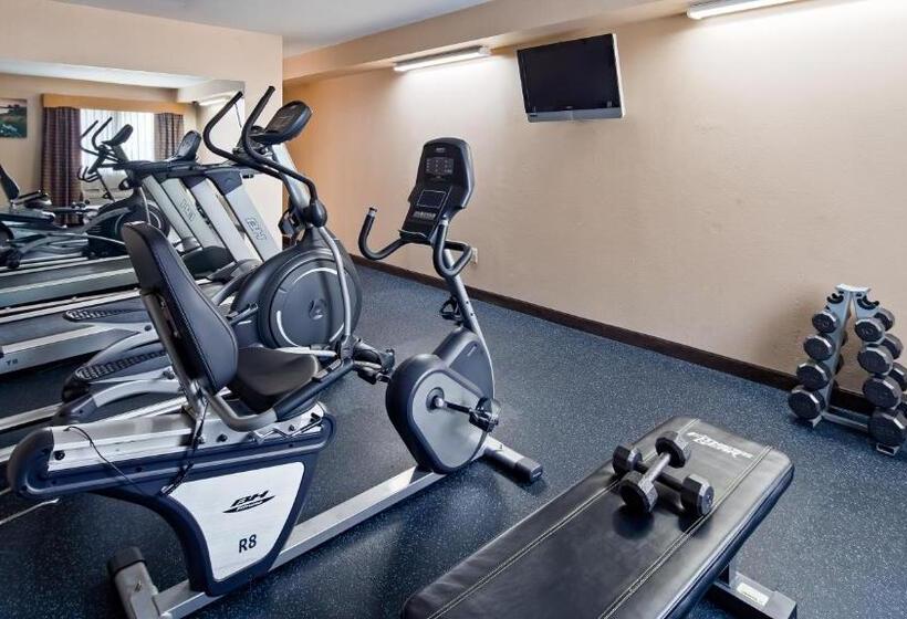 Отель Best Western Airport Inn