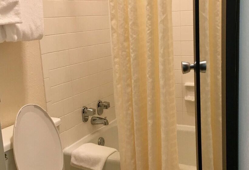 فندق Best Western Greenville Airport