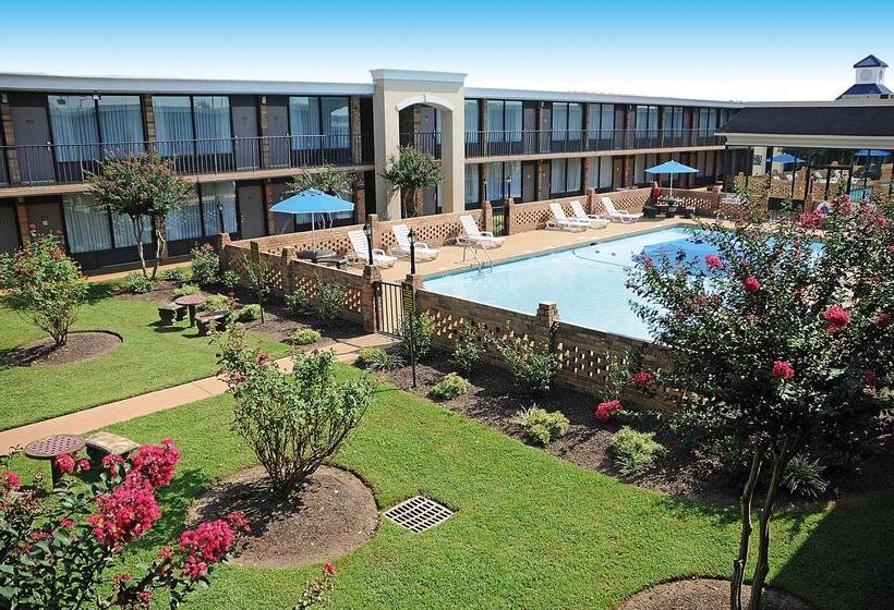 فندق Best Western Greenville Airport