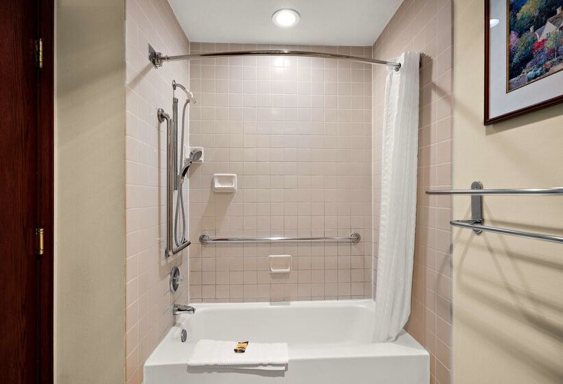 فندق Best Western Plus Gold Country Inn