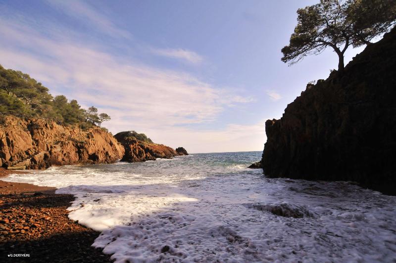 酒店 Best Western Plus  La Marina