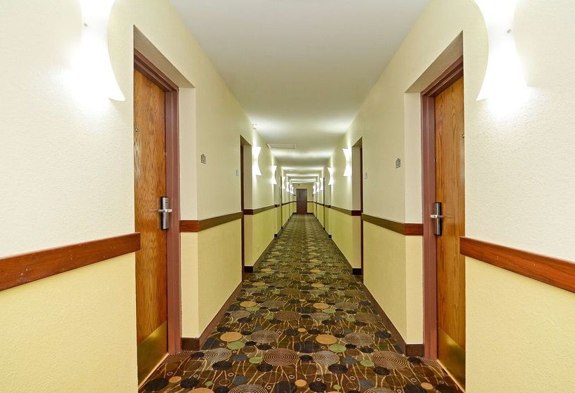 فندق Americinn By Wyndham Woodstock Il