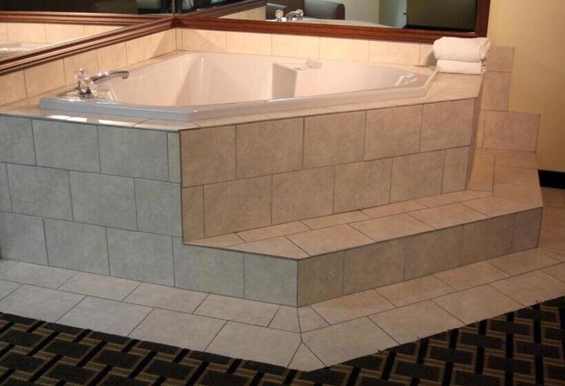 酒店 Americinn By Wyndham Woodstock Il
