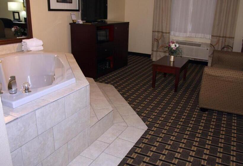 فندق Americinn By Wyndham Woodstock Il