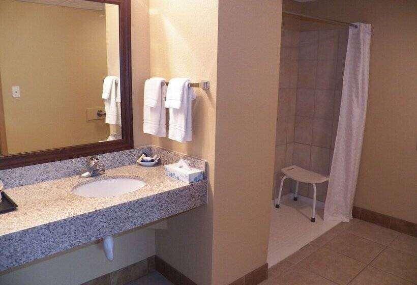 فندق Americinn By Wyndham Woodstock Il