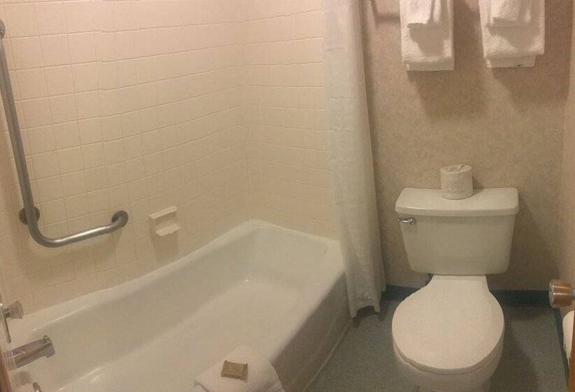 호텔 Brandin  Iron Inn