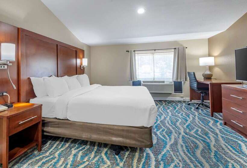 Отель Comfort Inn Asheville East Blue Ridge Pkwy Access
