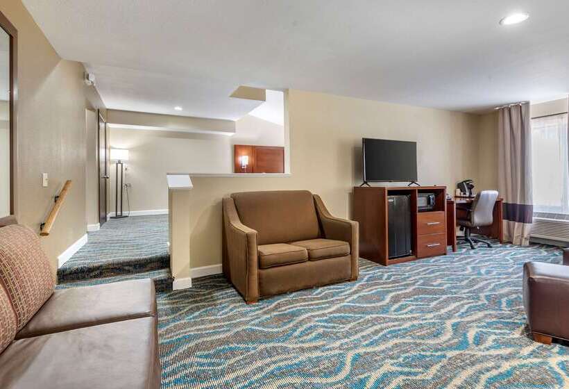 Отель Comfort Inn Asheville East Blue Ridge Pkwy Access
