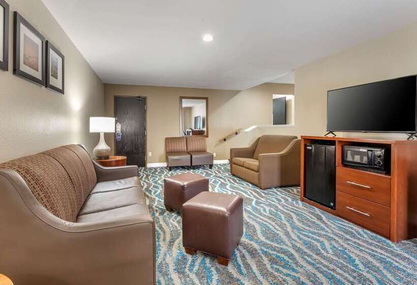 Отель Comfort Inn Asheville East Blue Ridge Pkwy Access