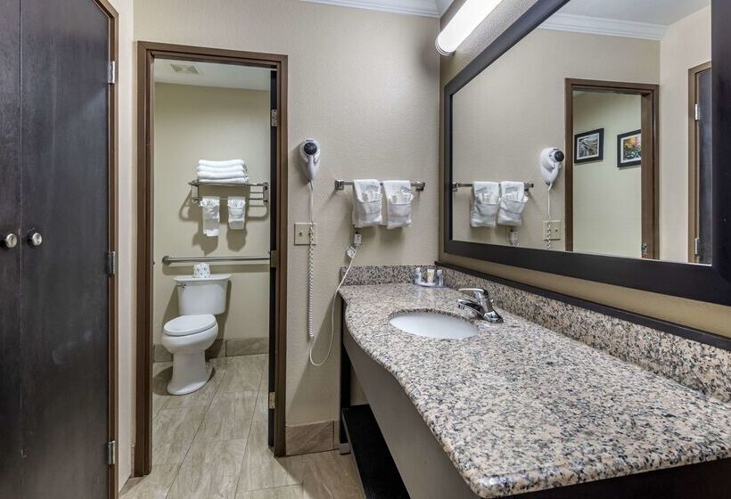 Отель Comfort Inn Asheville East Blue Ridge Pkwy Access