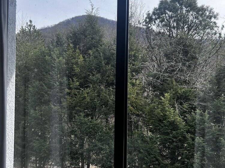 Отель Comfort Inn Asheville East Blue Ridge Pkwy Access