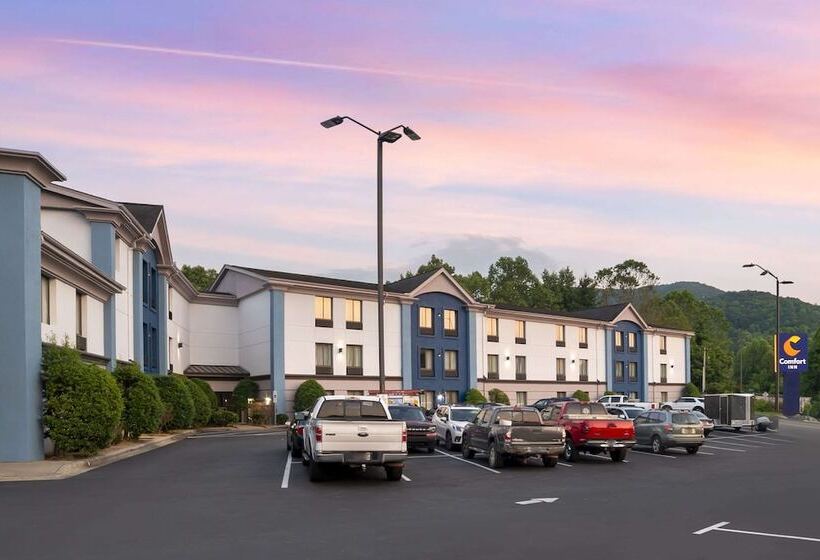 Отель Comfort Inn Asheville East Blue Ridge Pkwy Access