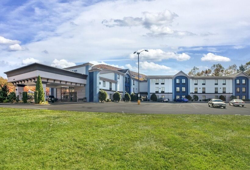 Отель Comfort Inn Asheville East Blue Ridge Pkwy Access