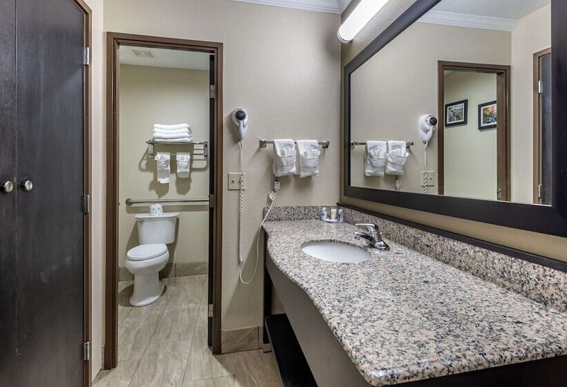 Отель Comfort Inn Asheville East Blue Ridge Pkwy Access