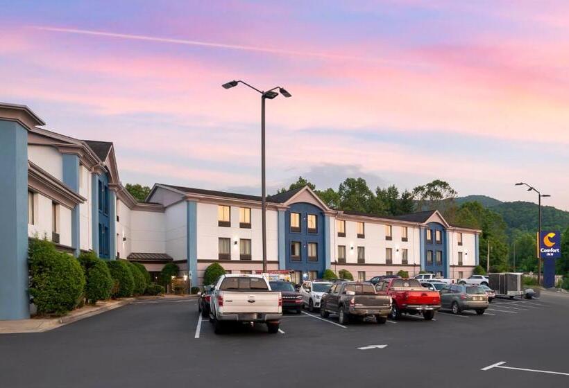 Отель Comfort Inn Asheville East Blue Ridge Pkwy Access